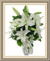 Berryman’s Flowers & Gifts Inc, 133 Peachtree St NE, Atlanta, GA 30303, (404)_523-0404